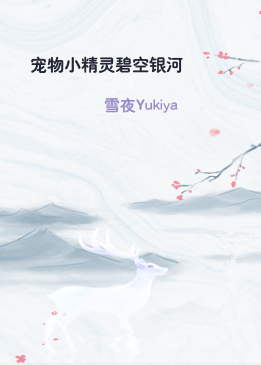 宠物小精灵碧空银河