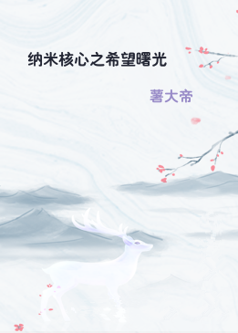 纳米核心之希望曙光