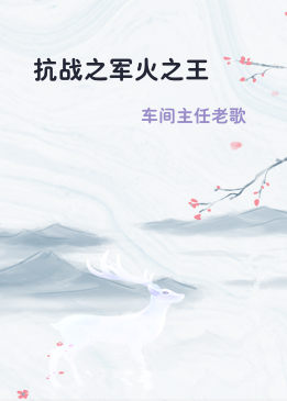 抗战之军火之王