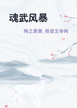 魂武风暴