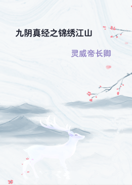 九阴真经之锦绣江山