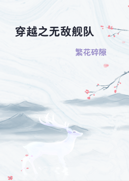 穿越之无敌舰队