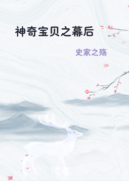 神奇宝贝之幕后