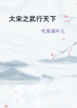 大宋之武行天下