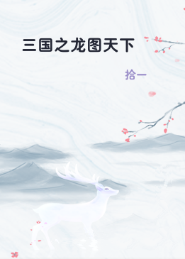 三国之龙图天下