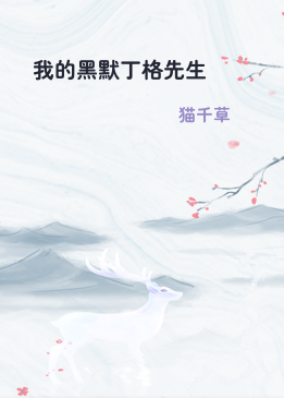 我的黑默丁格先生