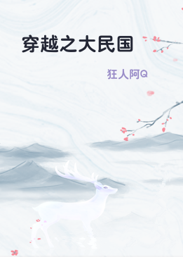 穿越之大民国