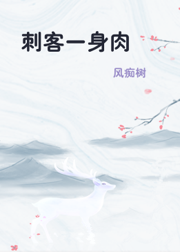 刺客一身肉