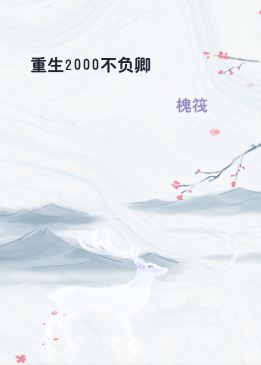 重生2000不负卿
