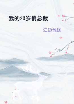 我的23岁俏总裁