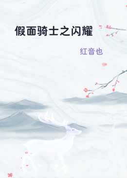 假面骑士之闪耀