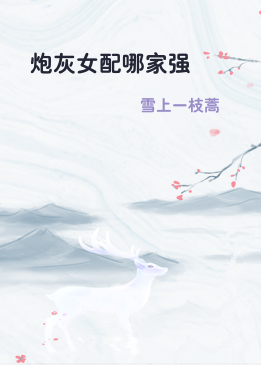 炮灰女配哪家强