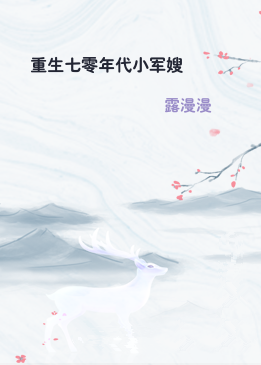 重生七零年代小军嫂