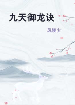 九天御龙诀