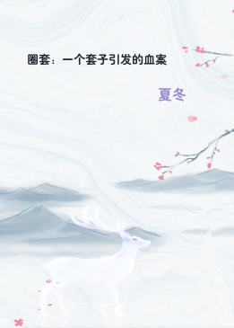 圈套：一个套子引发的血案