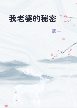 我老婆的秘密
