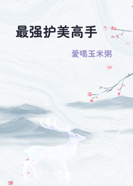 最强护美高手