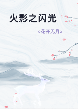 火影之闪光