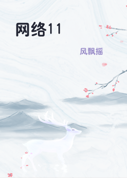 网络11