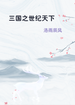 三国之世纪天下