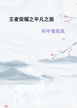 王者荣耀之平凡之旅