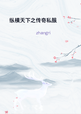 纵横天下之传奇私服