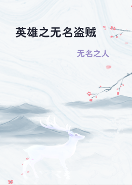 英雄之无名盗贼