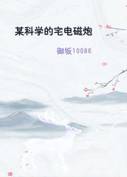 某科学的宅电磁炮