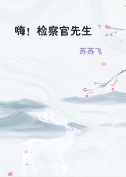 嗨！检察官先生