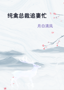 纯禽总裁追妻忙