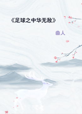 《足球之中华无敌》