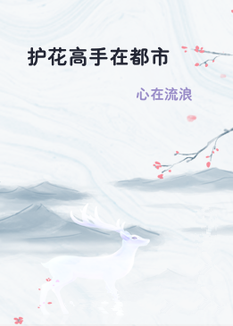护花高手在都市