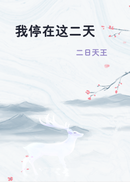 我停在这二天