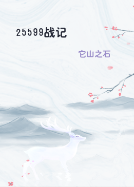 25599战记