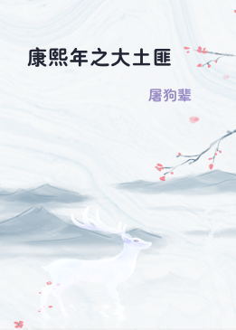 康熙年之大土匪