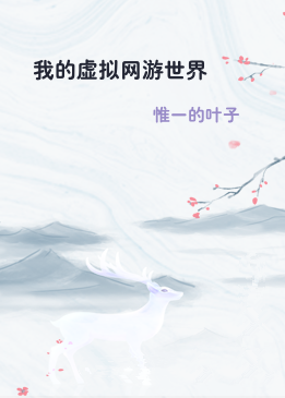 我的虚拟网游世界