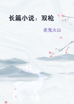 长篇小说：双枪