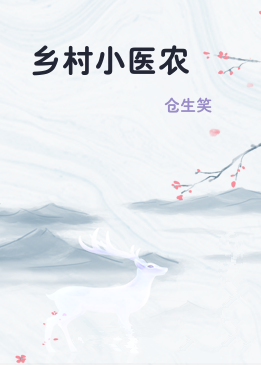 乡村小医农