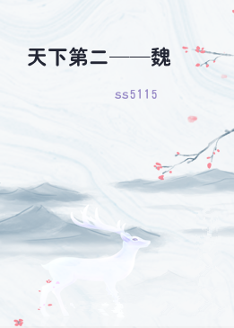 天下第二——魏