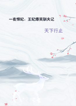 一夜悍妃：王妃爆笑驯夫记