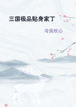 三国极品贴身家丁