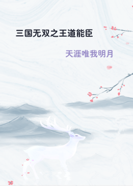 三国无双之王道能臣