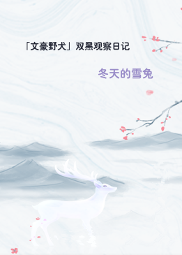 「文豪野犬」双黑观察日记