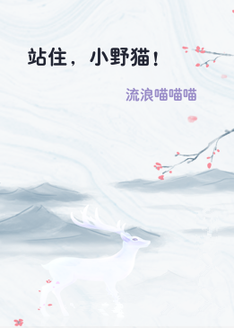 站住，小野猫！