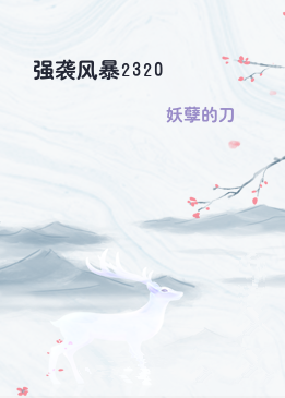 强袭风暴2320
