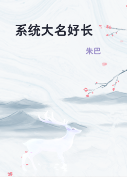 系统大名好长