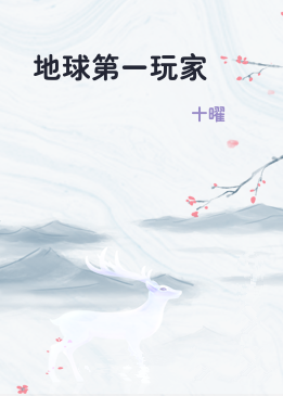 地球第一玩家