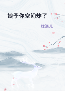 娘子你空间炸了