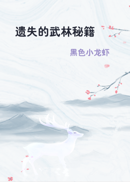 遗失的武林秘籍