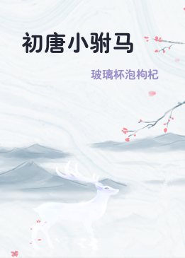 初唐小驸马